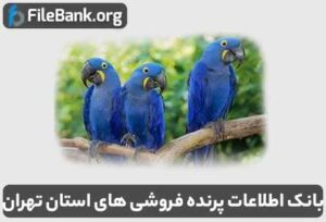 بانک اطلاعات پرنده فروشی های استان تهران